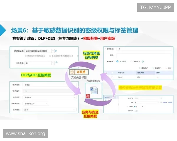 manbetx万博全站用户安全保障体系建设,风险控制与数据防护的专业策略分析 manbetx万博全站用户安全保障体系建设,风险控制与数据防护的专业策略分析