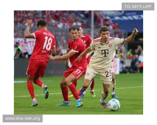 如何选择性价比高的万博足球价格及购买技巧