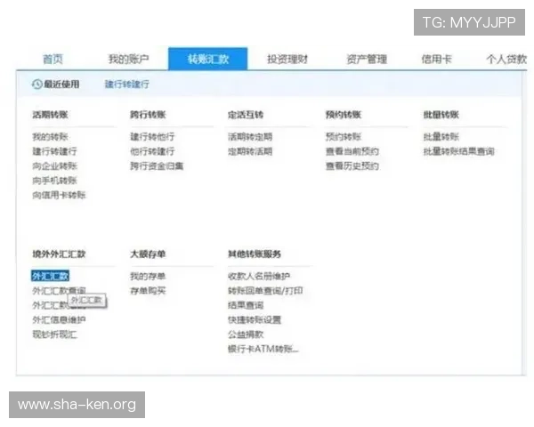 探索B体育国际官网入口的多种登录方式与操作技巧