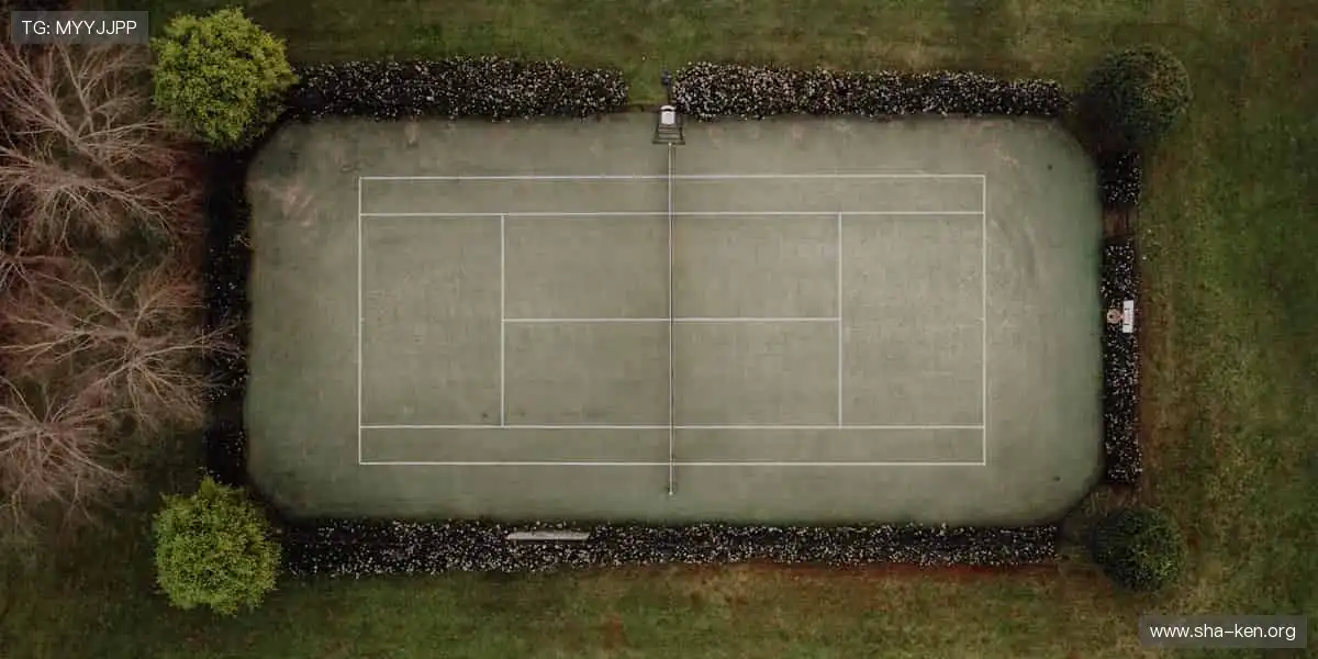 拼图类手机游戏网:碎片拼凑完整图像,培养耐心与观察力